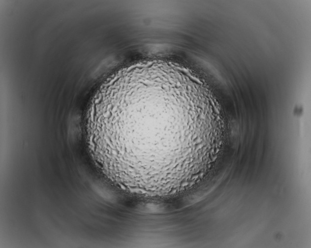 X0000101680506200807241349