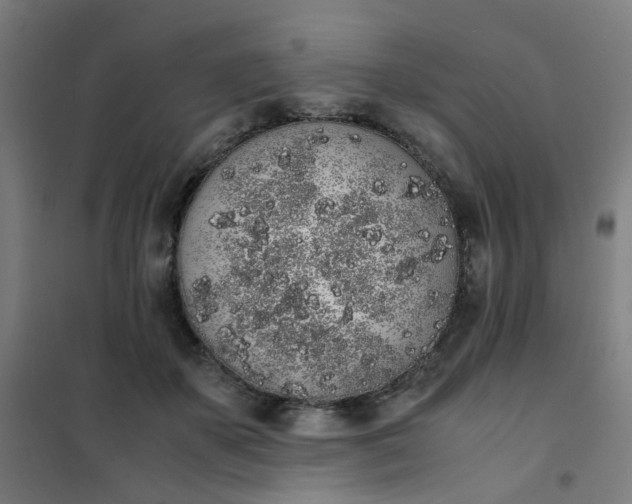 X0000101680507200807241349