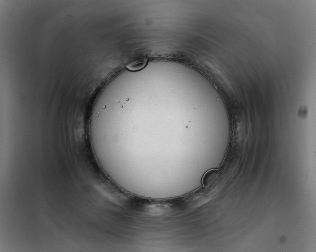 X0000101680508200807241349