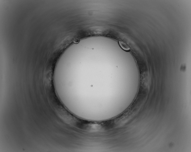 X0000101680509200807241349