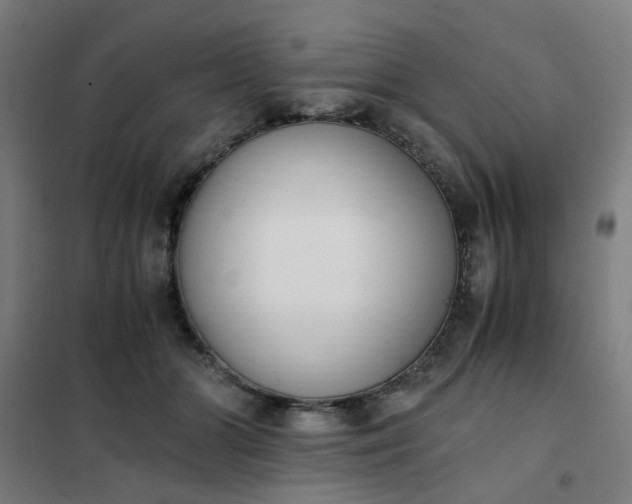 X0000101680510200807241349