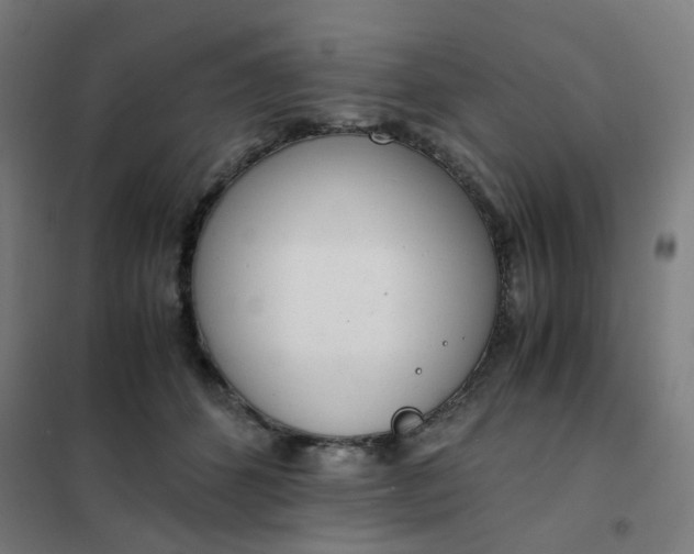 X0000101680512200807241349