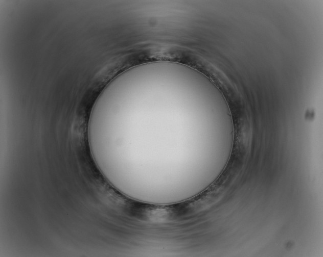 X0000101680513200807241349