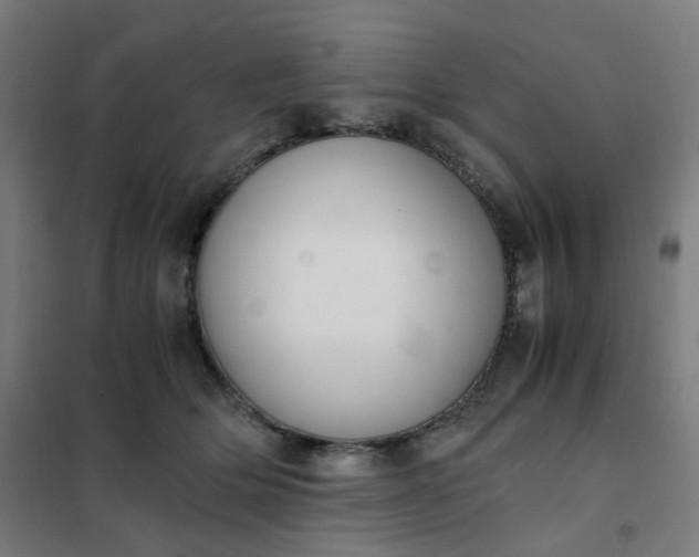 X0000101680514200807241349