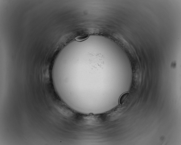 X0000101680516200807241349