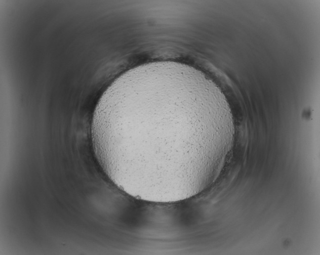 X0000101680517200807241349