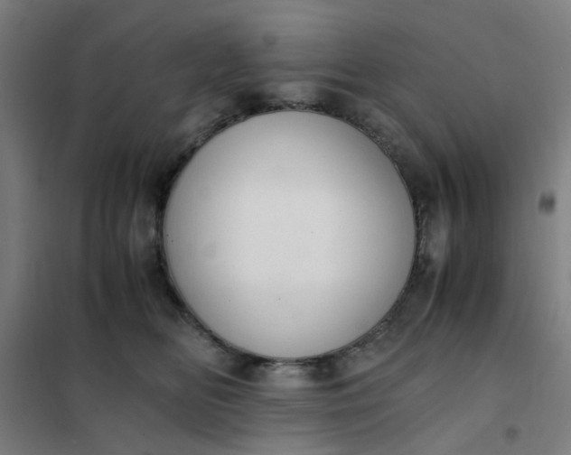 X0000101680518200807241349