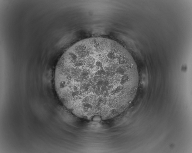 X0000101680519200807241349