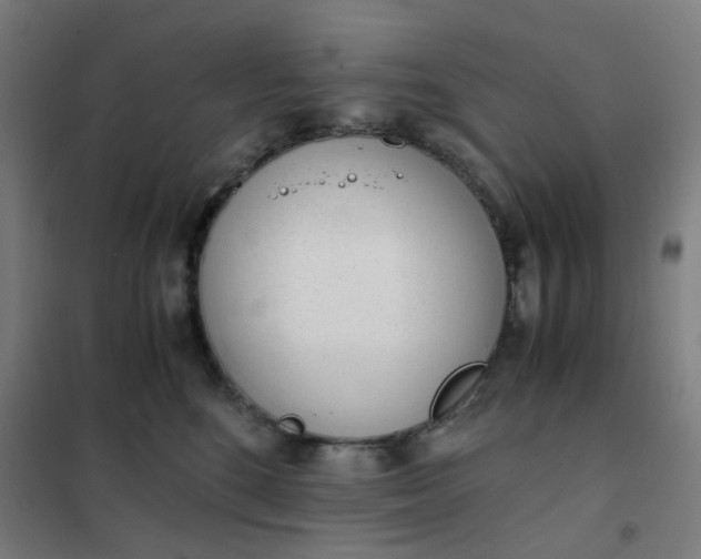 X0000101680520200807241349