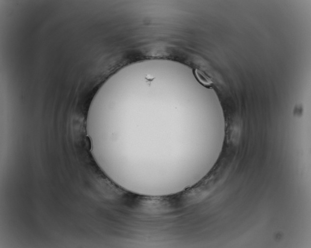 X0000101680521200807241349