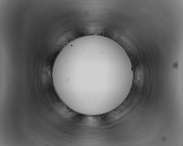 X0000101680522200807241349