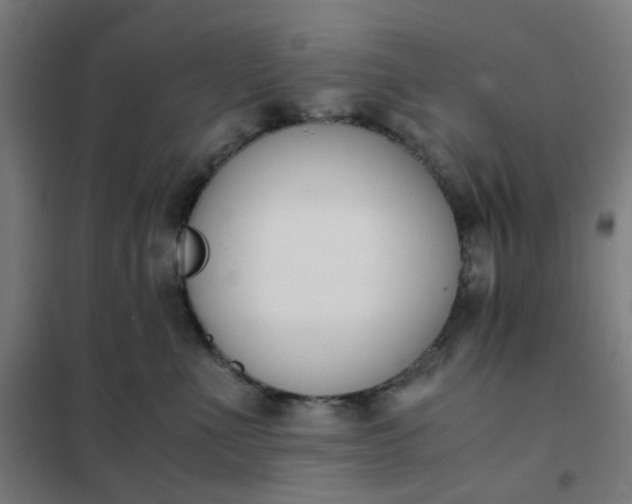 X0000101680523200807241349