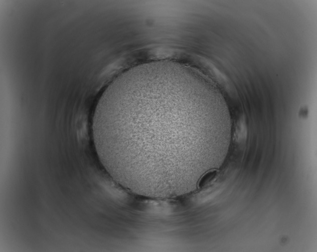 X0000101680524200807241349