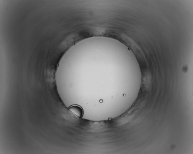 X0000101680525200807241349