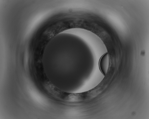 X0000101680526200807241349