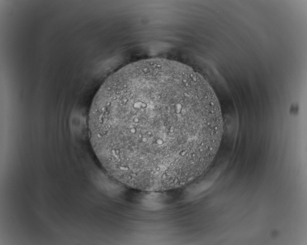 X0000101680527200807241349