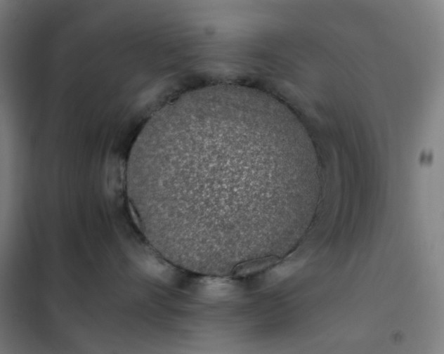 X0000101680528200807241349