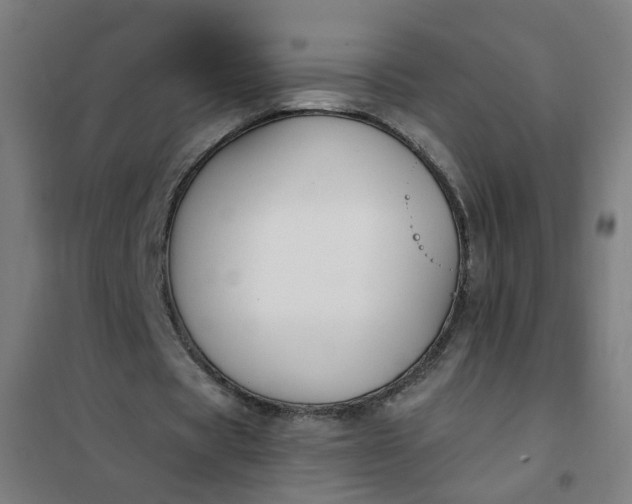 X0000101680529200807241348