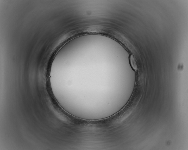 X0000101680530200807241348