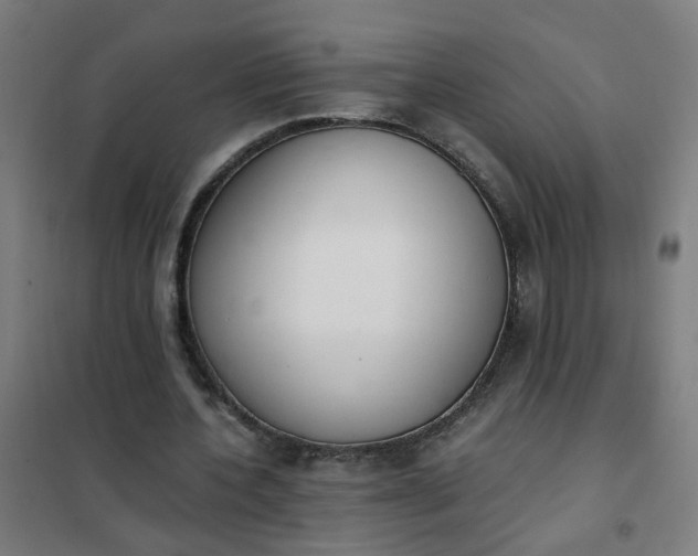 X0000101680532200807241348