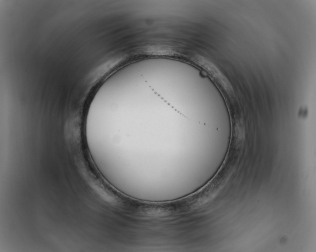 X0000101680533200807241348