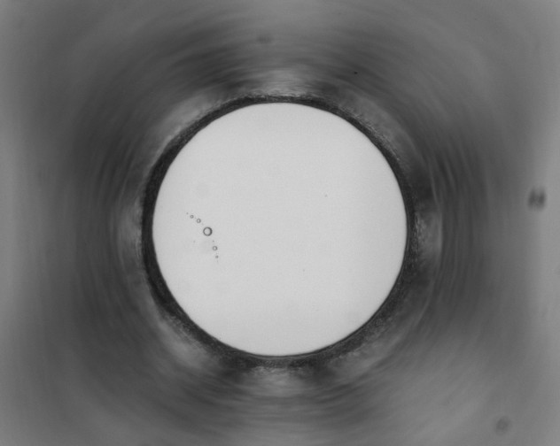 X0000101680534200807241348