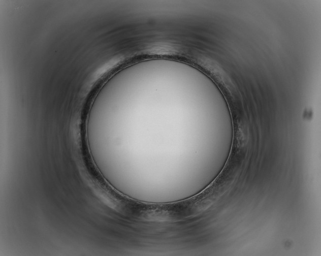 X0000101680535200807241348