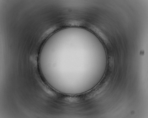 X0000101680537200807241348