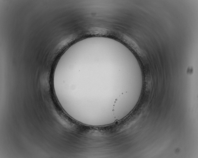 X0000101680538200807241348