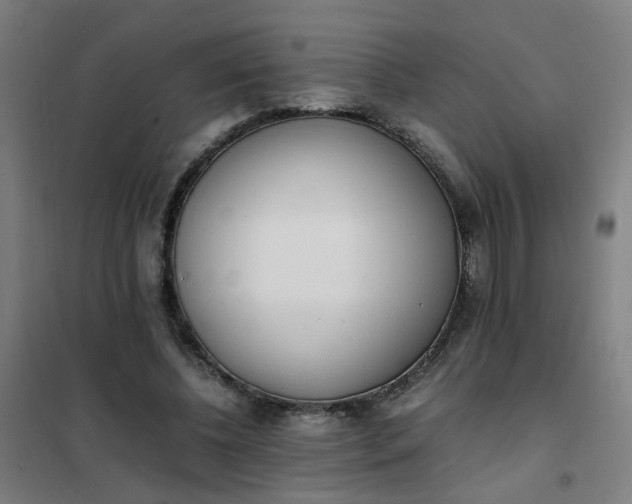 X0000101680540200807241348