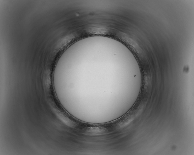 X0000101680541200807241348