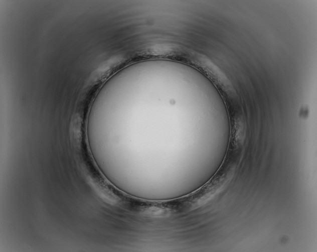 X0000101680542200807241348