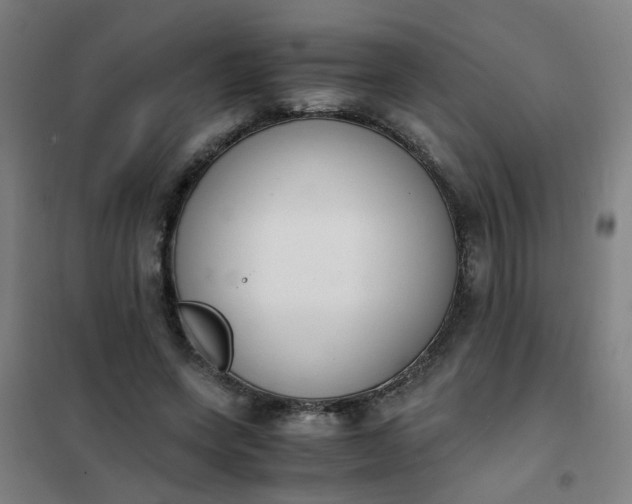 X0000101680543200807241348