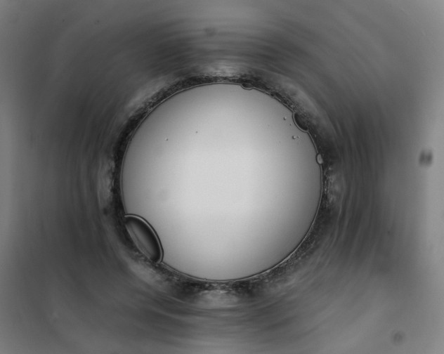 X0000101680544200807241348