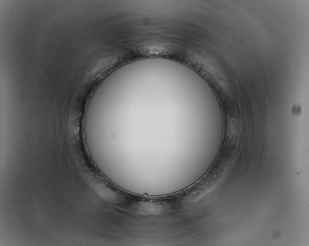 X0000101680545200807241348