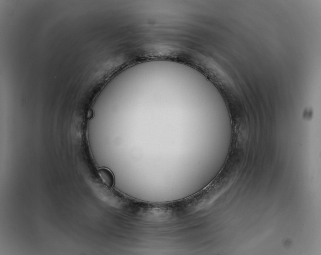 X0000101680546200807241348