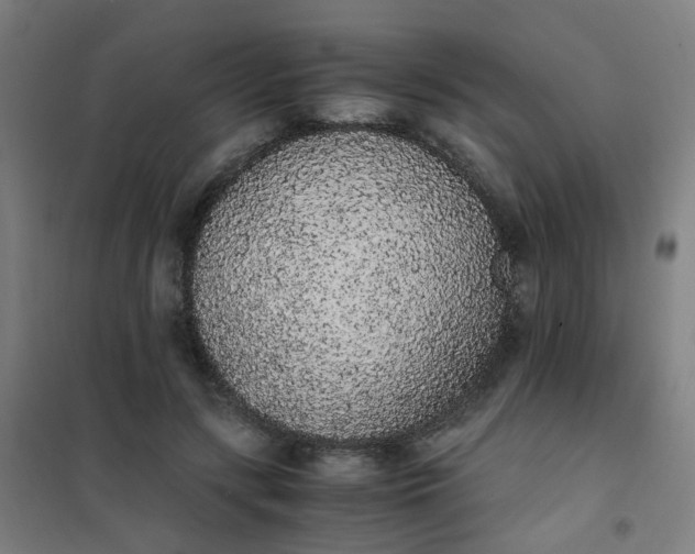 X0000101680547200807241348