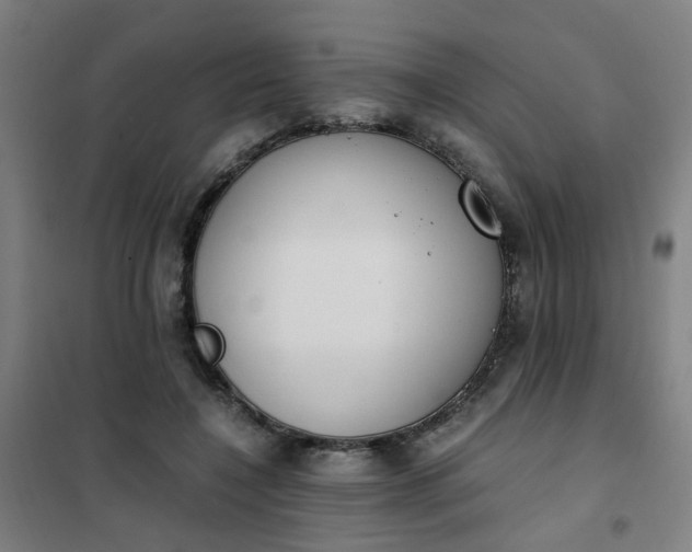 X0000101680548200807241348