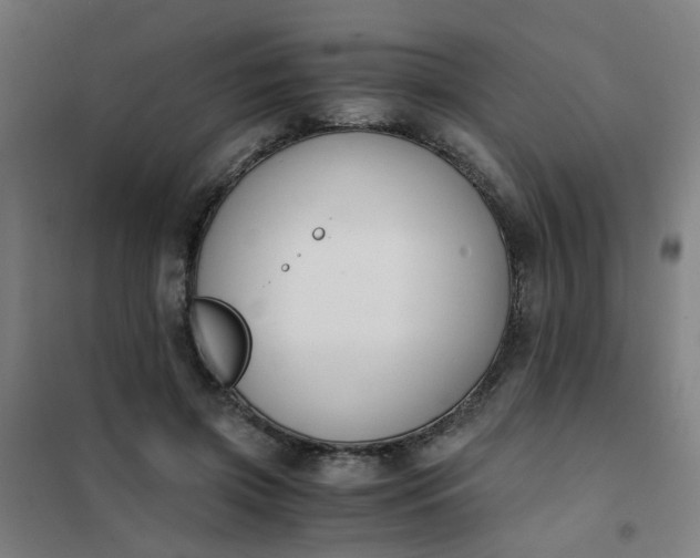 X0000101680549200807241348