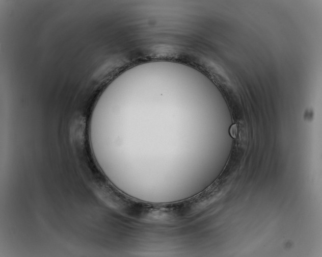 X0000101680550200807241348