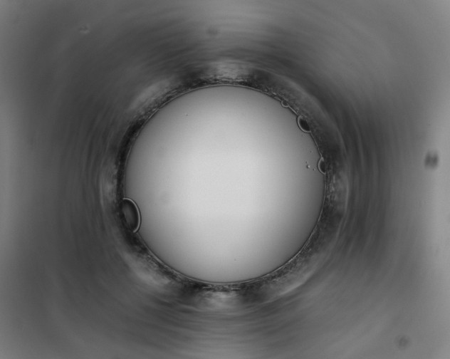 X0000101680552200807241348