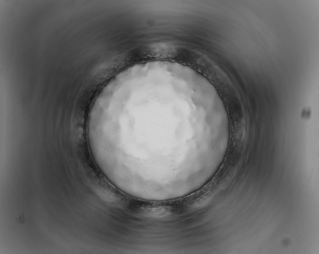 X0000101680553200807241348