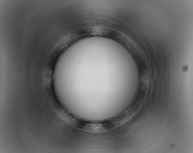 X0000101680554200807241348