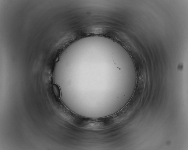 X0000101680555200807241348