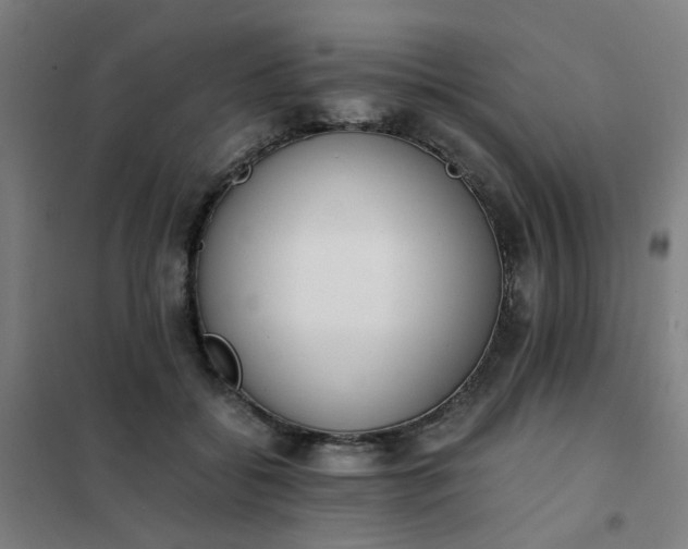 X0000101680556200807241348