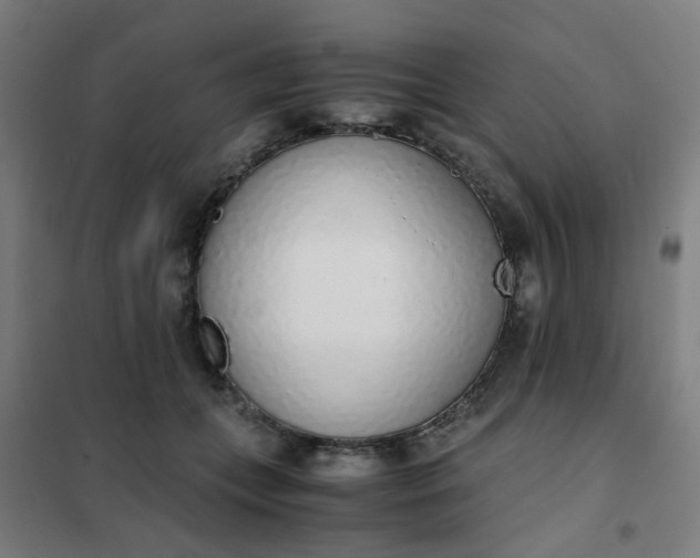 X0000101680559200807241348