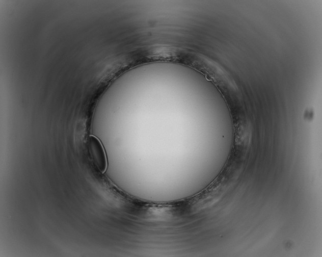 X0000101680560200807241348