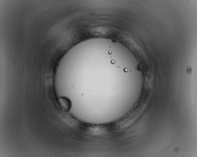 X0000101680561200807241348