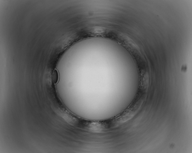 X0000101680562200807241348