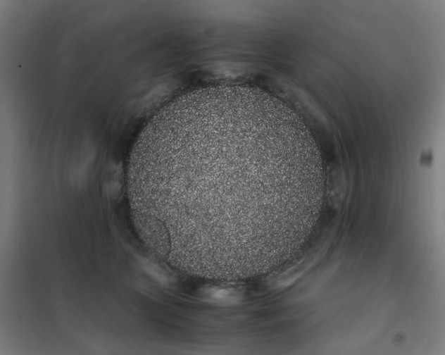 X0000101680563200807241348